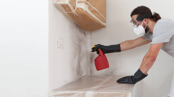 Professional Mold Cleanup technician working in Leland, NC