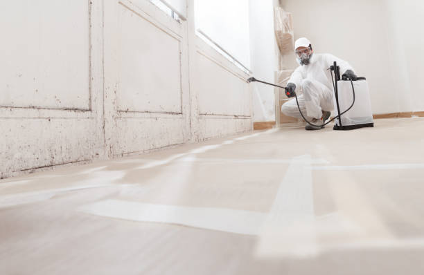 24/7 Emergency Mold Cleanup experts in Leland, NC