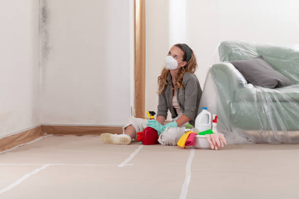 Reliable Mold Cleanup contractor in Leland, NC by WQB Mold Removal